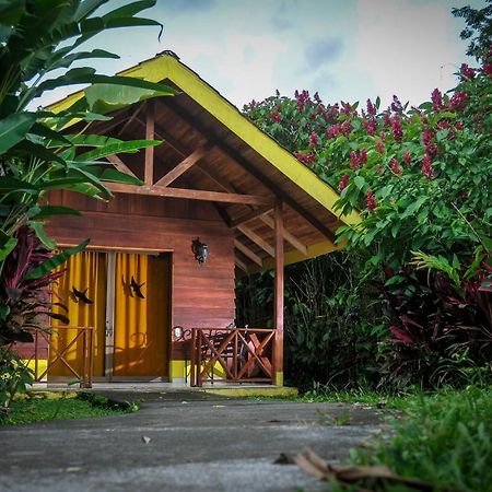 Selvita Lodge Arenal La Fortuna Dış mekan fotoğraf