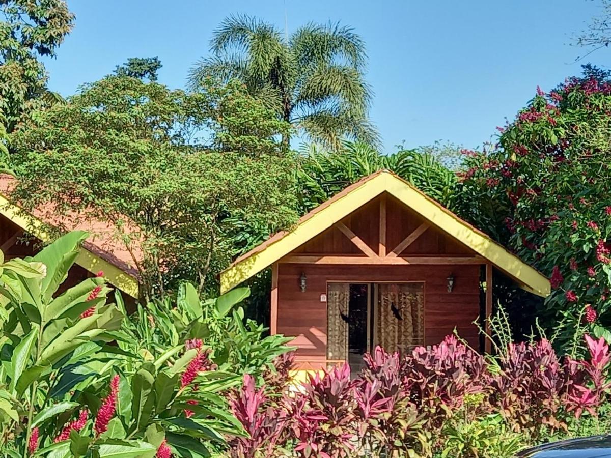 Selvita Lodge Arenal La Fortuna Dış mekan fotoğraf