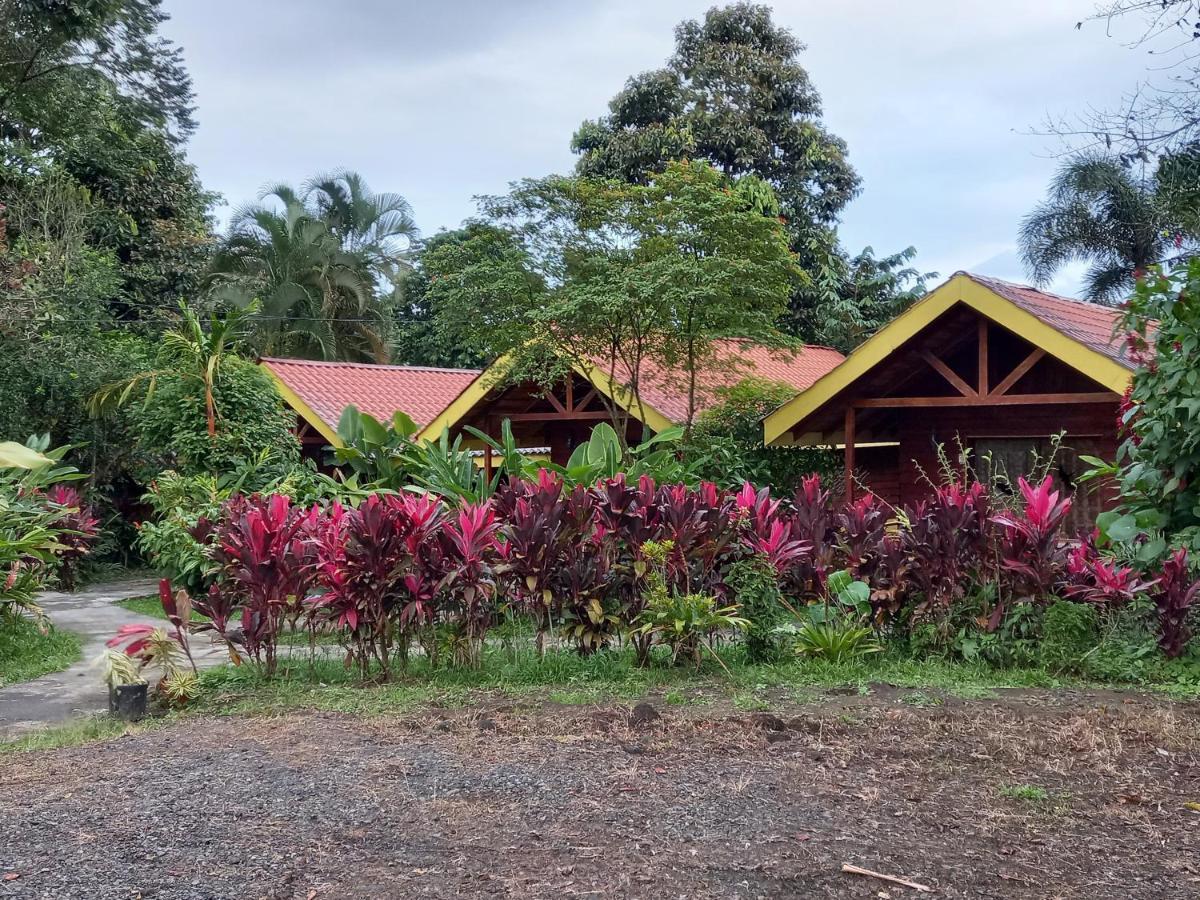 Selvita Lodge Arenal La Fortuna Dış mekan fotoğraf