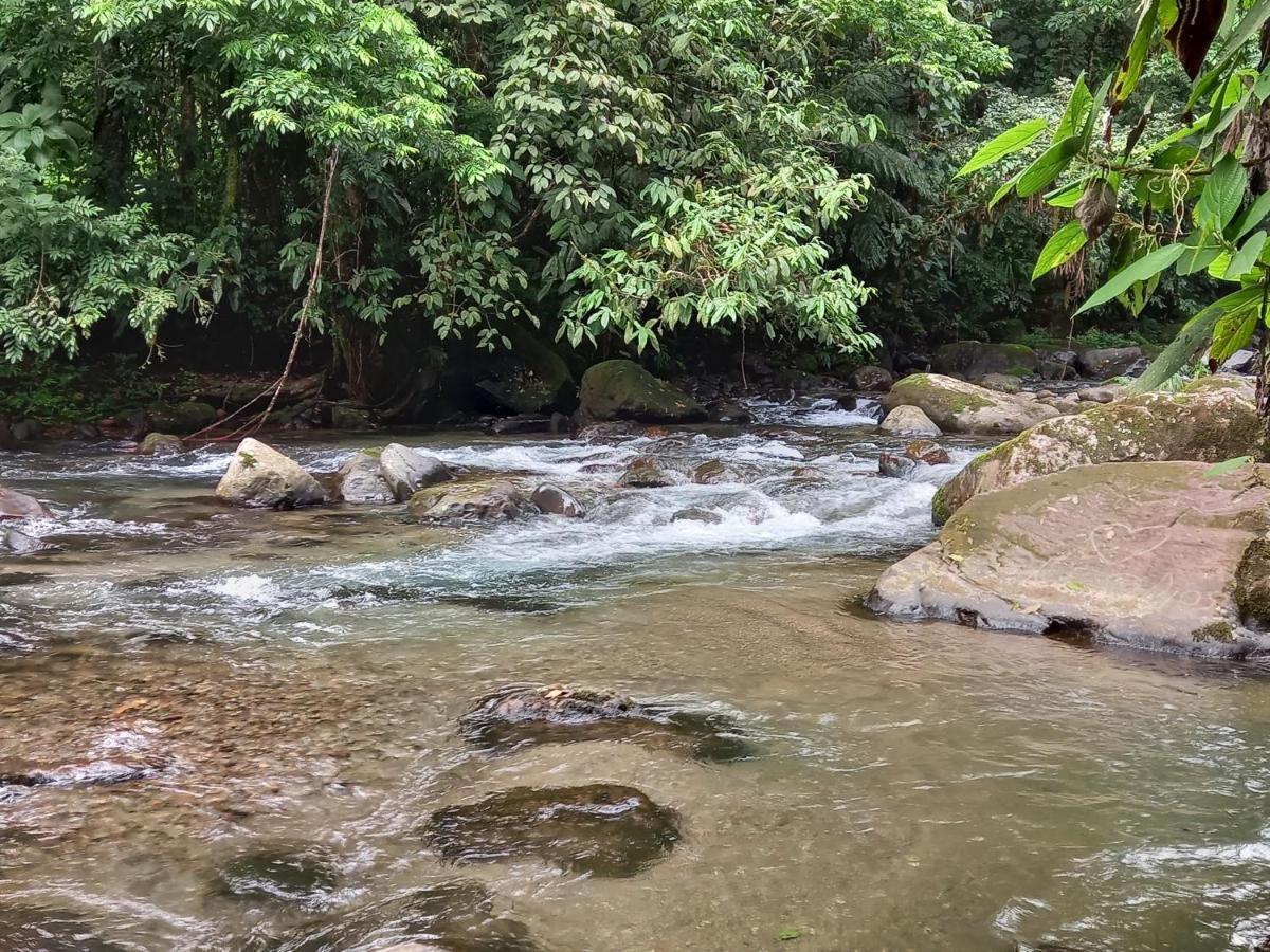 Selvita Lodge Arenal La Fortuna Dış mekan fotoğraf
