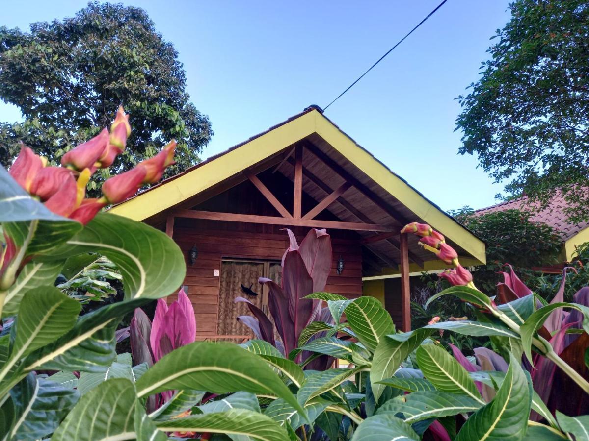 Selvita Lodge Arenal La Fortuna Dış mekan fotoğraf